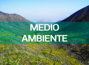 MEDIO AMBIENTE