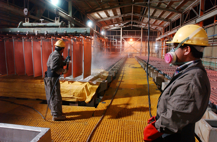 Precio del cobre tomaría alza prologanda en próximos meses, analiza Scotiabank