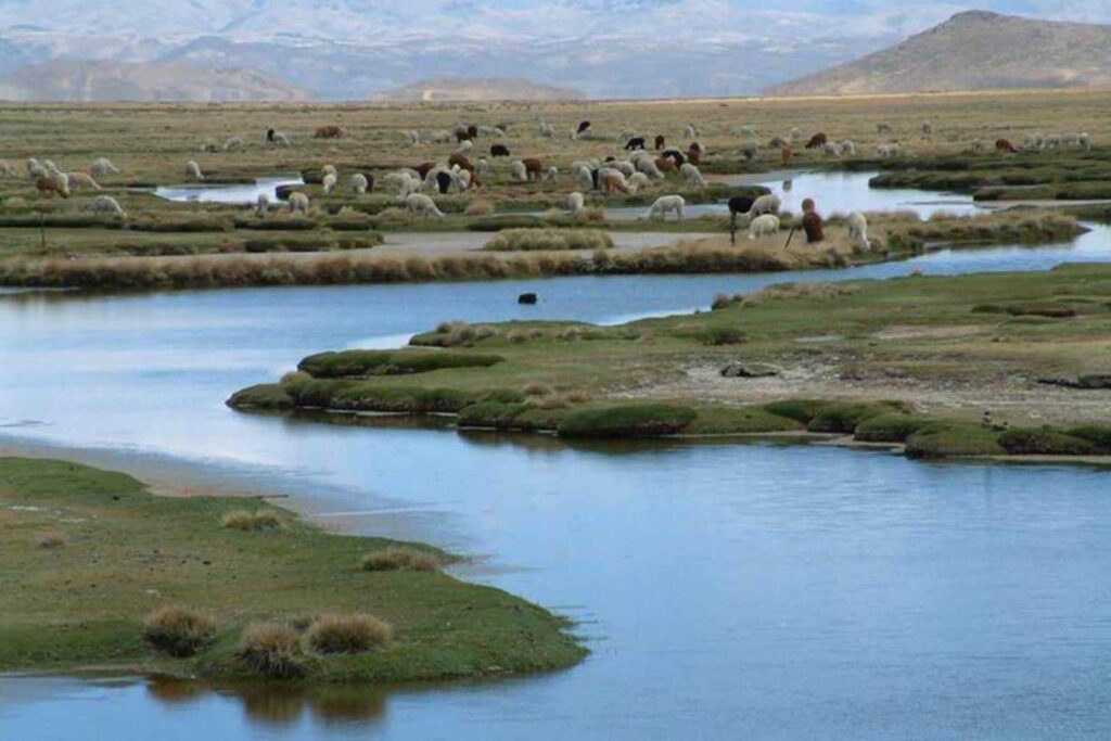 Ley de protección y remediación de ríos afectados por daños ambientales