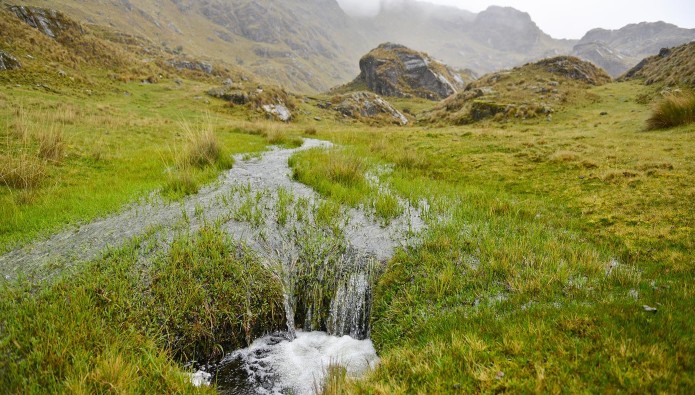 Perú protegerá sus bosques y humedales andinos como estrategia ante impactos del cambio climático