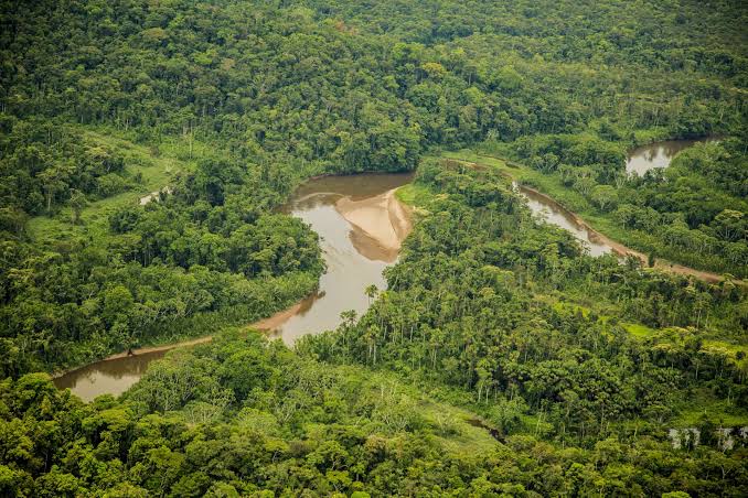 Perú suma más de 45 mil hectáreas de bosque amazónico a la conservación mundial
